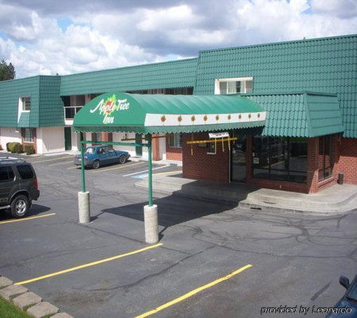 Apple Tree Inn Σποκάν Εξωτερικό φωτογραφία